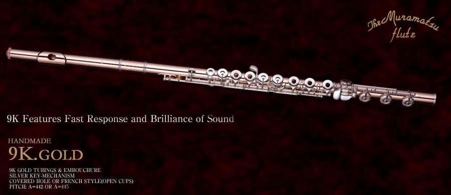 Open-Gis】muramatsu flute AD model snportal.si