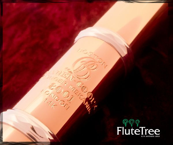 Flute Tree BRISBANE SALE